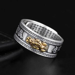 Feng Shui Pixiu Mantra Ring – Wealth & Protection - Metal element crystal for love